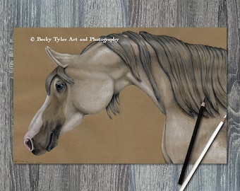 Arabian Horse Drawing: Original Colored Pencil & Watercolor Art