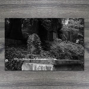 May include: A black and white photograph of a weathered stone tombstone covered in ivy, situated in a wooded cemetery setting. The image features the text Becky Tyler Art and Photography, with dense foliage and trees visible in the background.