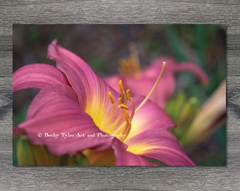 Pink Lily, Giclee Print, Macro Photography, Digital Print, Cottagecore, Farmhouse Decor, Macro Flower Print