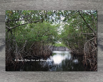 Everglades National Park, Florida, Travel Print, Travel Decor, Photography, Print, Giclee Print