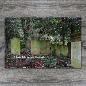 May include: A photograph of a cemetery with several weathered, moss-covered tombstones. The scene is set amongst lush green foliage and trees, with a few leaves scattered on the ground. The image is framed by a wooden surface.