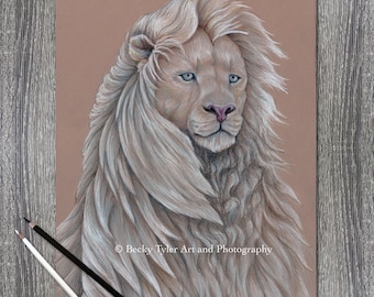 White Lion Pencil Drawing