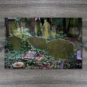May include: A photograph of a cemetery with weathered tombstones covered in moss and ivy. The scene is set in a forest with trees and foliage. The image has a vintage, historical feel.