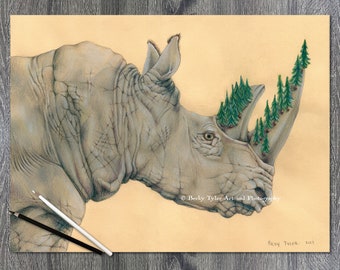 Rhinoceros Drawing, Colored Pencil on Cream Paper, Rhino, Animal Drawing, Pencil Drawing, Cottagecore, Farmhouse Decor, Rhinoceros Art