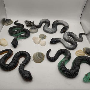 May include: Four flexible toy snakes in various colours including black, grey, and green, arranged alongside several small, smooth seashells. The snakes feature textured scales and distinct head shapes, with some displaying gradient colour patterns.