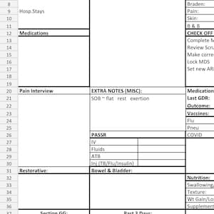Puede incluir: Un formulario de evaluación médica blanco con líneas de cuadrícula negras y etiquetas de texto que incluyen Name, DOB, Primary Reason, Medications, Pain Interview, Extra Notes, Passr, Restorative, Bowel & Bladder, Section GG y varias categorías clínicas.