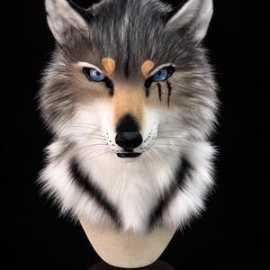 Puede incluir: Una máscara de cabeza de lobo realista con piel sintética gris, blanca y bronceada. La máscara tiene ojos azules penetrantes, una nariz negra y una marca de cicatriz oscura debajo del ojo izquierdo. Está montada sobre un soporte neutro con fondo negro.