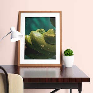May include: A framed wall art print featuring a close-up of a coiled green snake with textured scales. The artwork is displayed in a light brown wooden frame with a white mat, resting on a dark wooden desk surface next to a white lamp and plant.