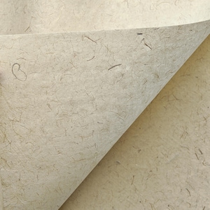 May include: A sheet of light beige handmade paper with a visible fibrous texture. The surface is speckled with small, dark brown organic inclusions and thin, scattered plant fibers throughout, creating a natural, uneven, and tactile appearance.