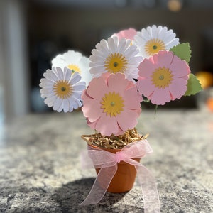 7 Stem Spring Love Small Pot Bouquet