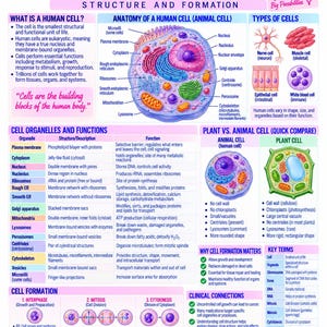 Może przedstawiać: Plakat edukacyjny zatytułowany A&P of Human Cell Structure and Formation. Zawiera centralny schemat komórki zwierzęcej z opisanymi organellami, sekcje dotyczące typów komórek, funkcji organelli, porównania komórek roślinnych i zwierzęcych oraz tworzenia komórek.