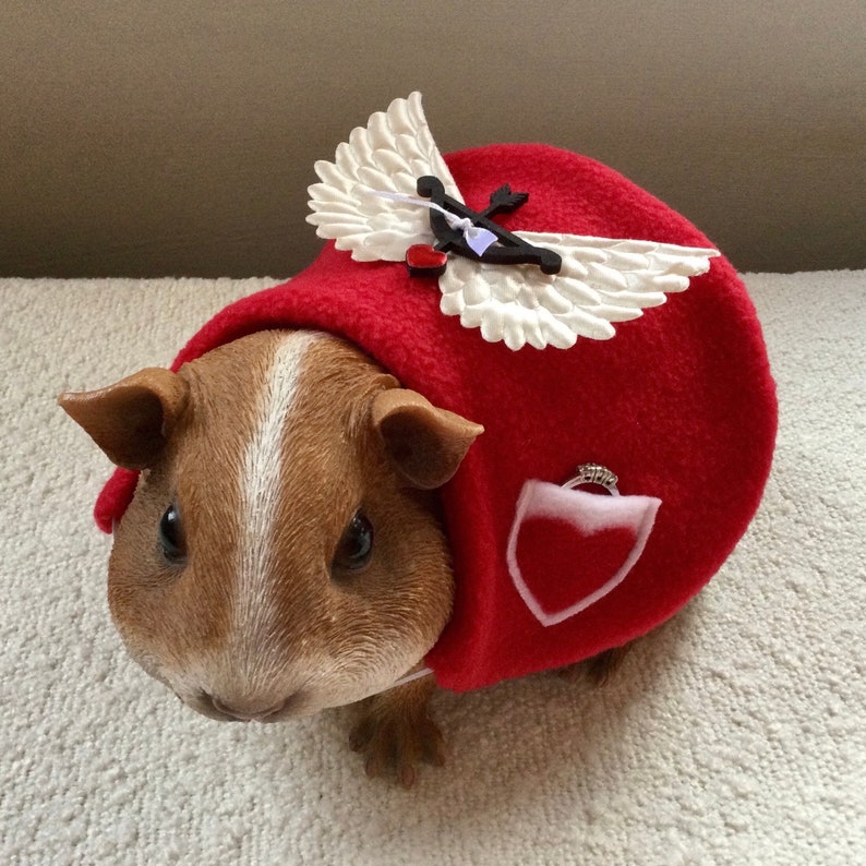 Valentines Day Cupid costume for a guinea pig, rabbit, chinchilla, kitten, puppy, small pet. image 2