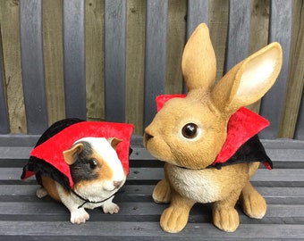 Dracula cloak / vampire cape for a guinea pig, hedgehog, chinchilla, pet rabbit, small pet in crushed velvet.