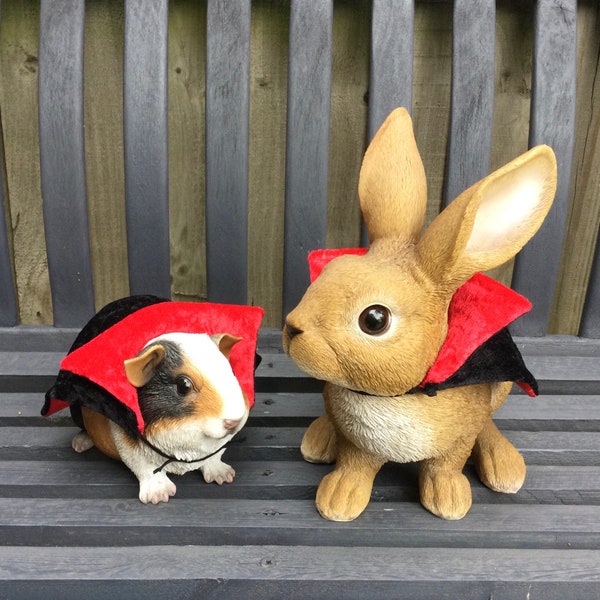 Capa de Drácula / capa de vampiro para un conejillo de indias, erizo, chinchilla, conejo mascota, mascota pequeña en terciopelo triturado.