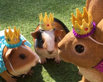 Sparkly gold crown or cape with an elastic strip for a small pet to wear OR crown on a plastic stick for a cake topper.
