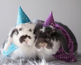 Wizard's / witch's sparkly hat or cape or hat and cape set for guinea pigs, bunny rabbits and small pets. Range of sparkly jersey foils