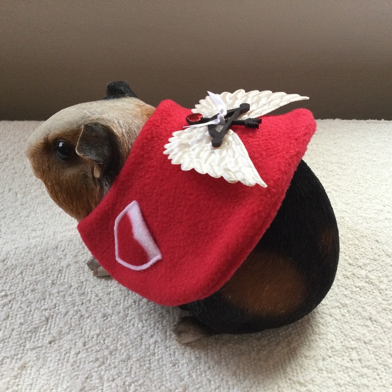 Valentines Day Cupid costume for a guinea pig, rabbit, chinchilla, kitten, puppy, small pet. image 3
