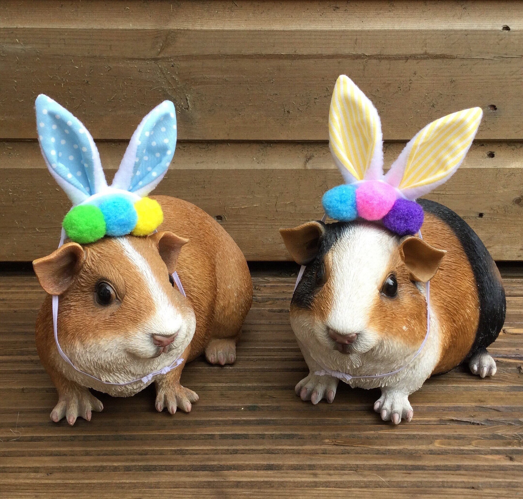 Guinea Pig Best Toys: Wheels, Chew Toys, Tunnels (Free Shipping