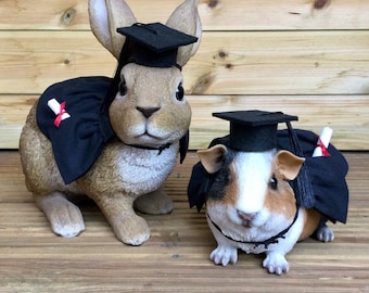 Graduation pet costume - gown and/or mortice board.