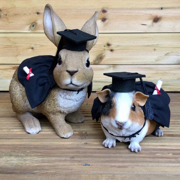 Graduation pet costume - gown and/or mortice board.