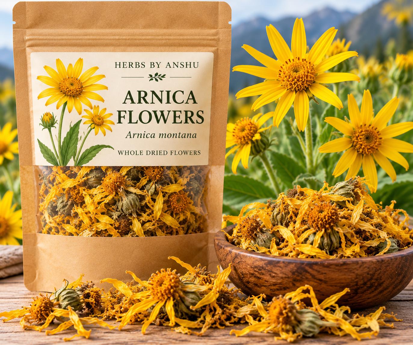 Arnica montana dried - 日本