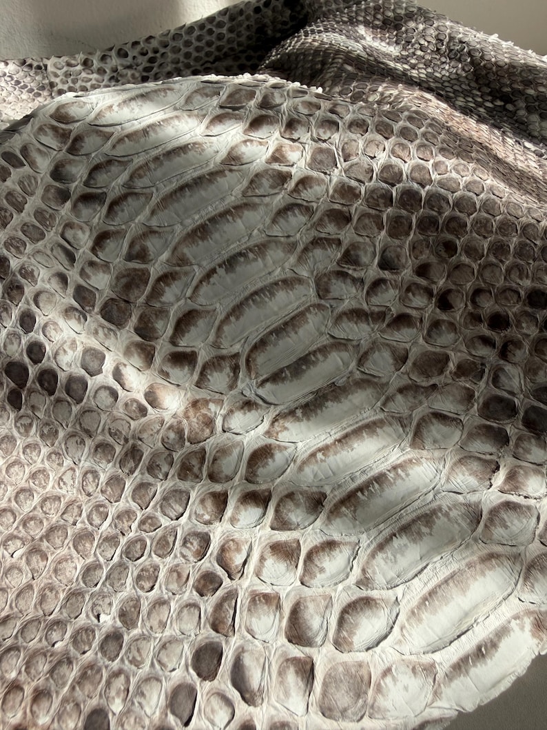 May include: A piece of snakeskin leather featuring a natural scale pattern in shades of white, cream, and dark brown. The surface displays a textured, overlapping arrangement of scales that vary in size, creating a distinct organic appearance.