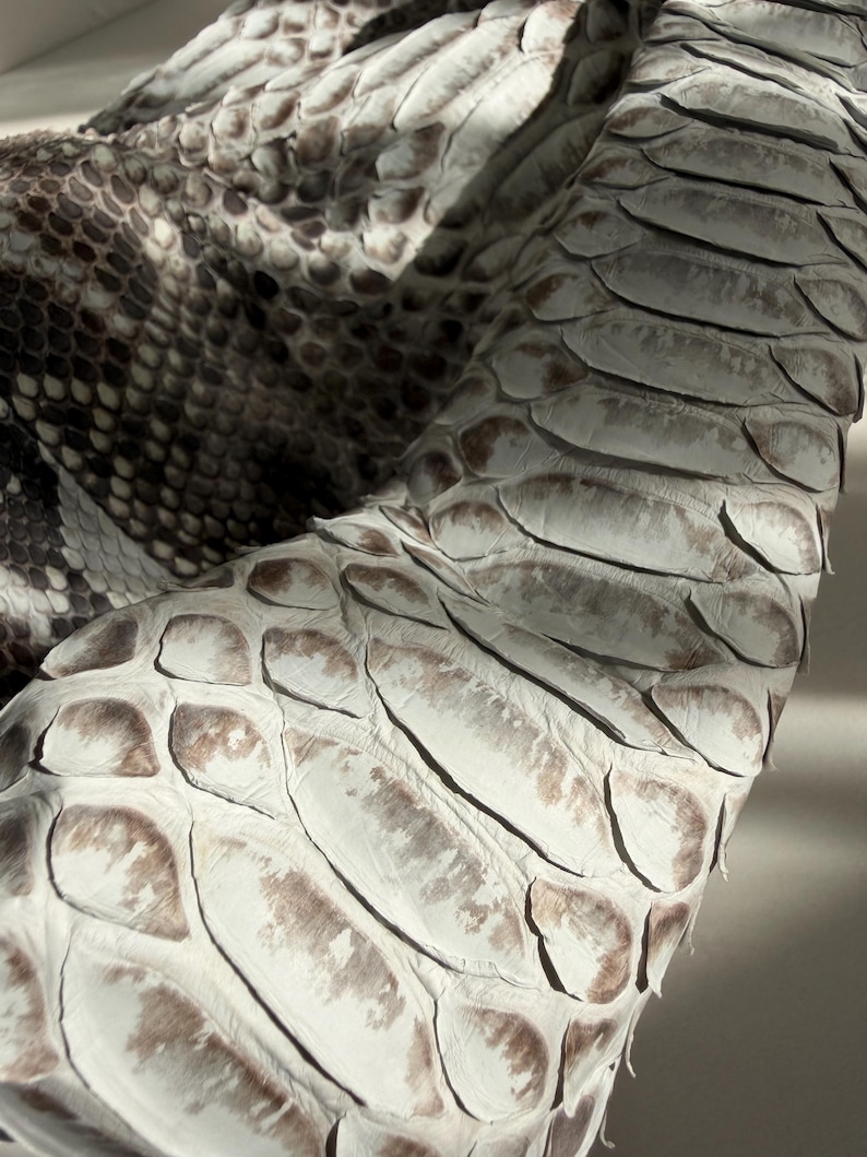 May include: A piece of textured snakeskin leather featuring large, overlapping scales in shades of off-white, cream, and soft brown. The surface displays a natural, organic pattern with varying scale sizes and a matte finish throughout the material.