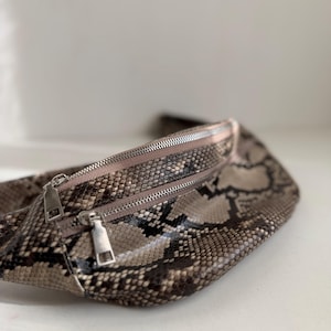 Peut inclure: Un sac banane avec un motif peau de serpent dans des tons marron, beige et noir. Le sac possède deux compartiments horizontaux zippés avec des tirettes en métal argenté. La surface extérieure présente un aspect texturé rappelant des écailles.