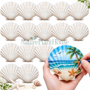 May include: A collection of off-white scallop shells, with one shell featuring a hand-painted tropical beach scene with a palm tree, blue ocean, and a starfish. The text NaturePlantHouse is centered in the middle of the image above the shells.
