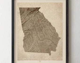 May include: A framed topographic map of the state of Georgia rendered in shades of brown and beige. The map features detailed relief shading to show terrain elevation and is enclosed in a thin black frame with a light-colored matting border.