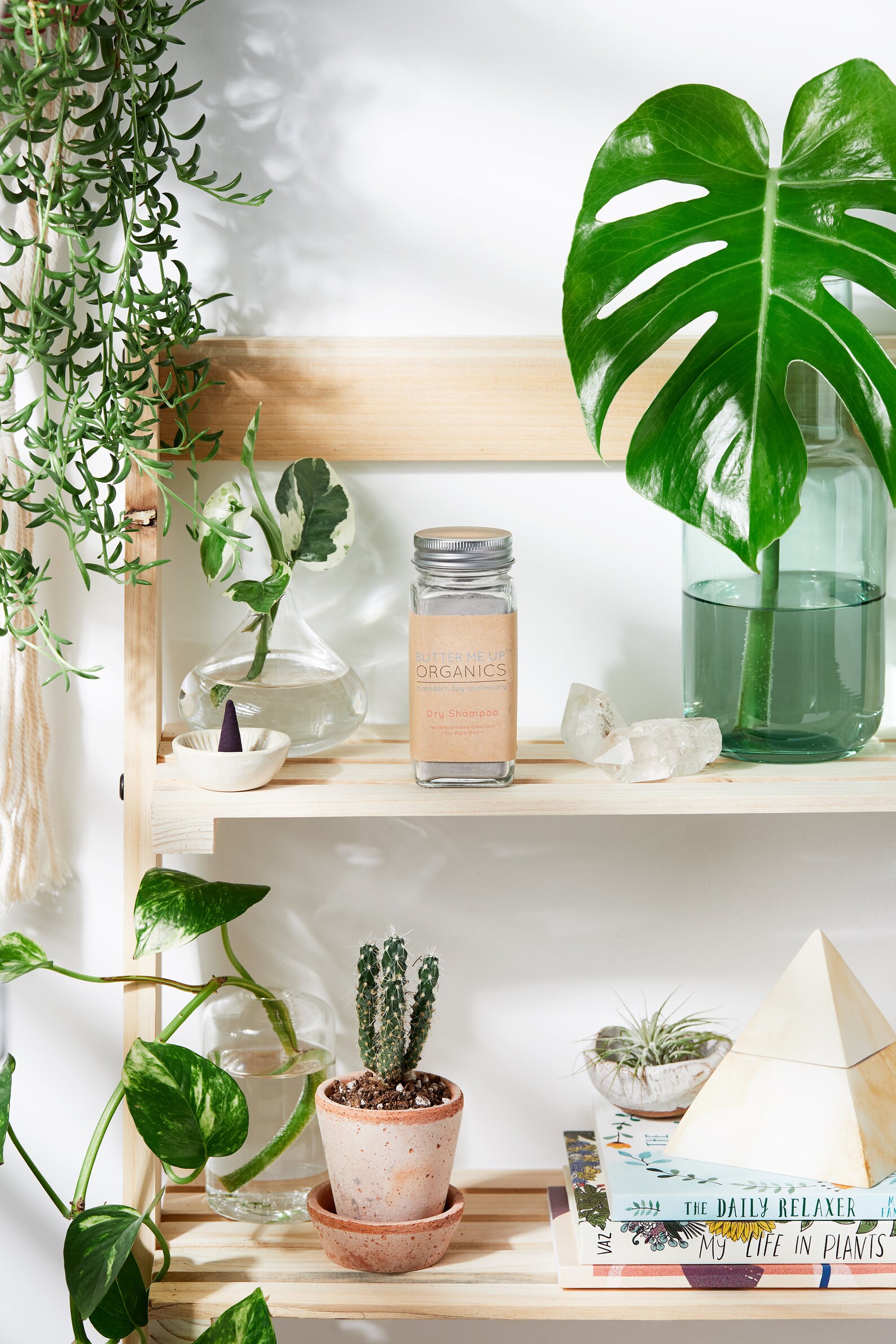 Natural Organic Dry Shampoo No Butane Etsy