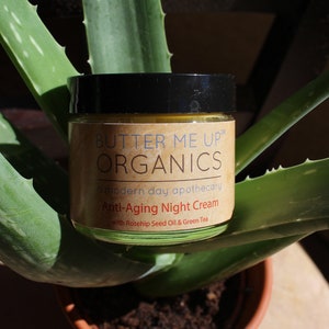 Anti Aging / Night Cream / Face Moisturizer / Organic / Green Tea / Skin Nutrition / GLASS jar / image 6