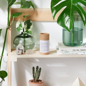May include: A wooden shelf with various items, including a potted cactus, a small white pyramid, a clear glass vase with a green plant, a brown tube of sunscreen labeled "Butter Me Up Organics Organic Sunscreen", and two books titled "Drake / Sin" and "Falling Toward Create Your Own Calm".