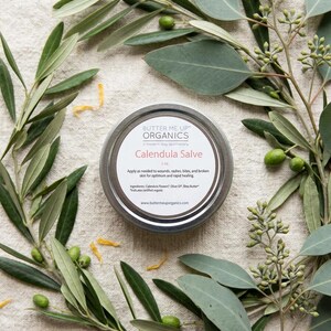 Organic Calendula Salve with Shea Butter image 6