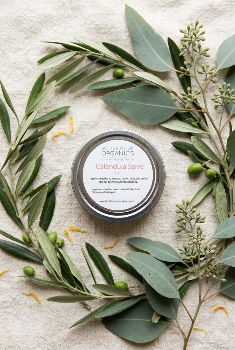 Organic Calendula Salve with Shea Butter image 6