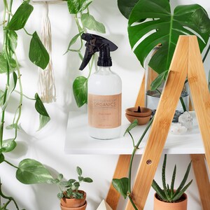 May include: A wooden shelf with two shelves, a clear glass bottle with a black spray nozzle, and a brown label that reads "WATER ME UP ORGANICS Glass Cleaner 16 fl oz (473 ml)". There are plants on the shelves, including a potted succulent and a potted plant with green leaves.