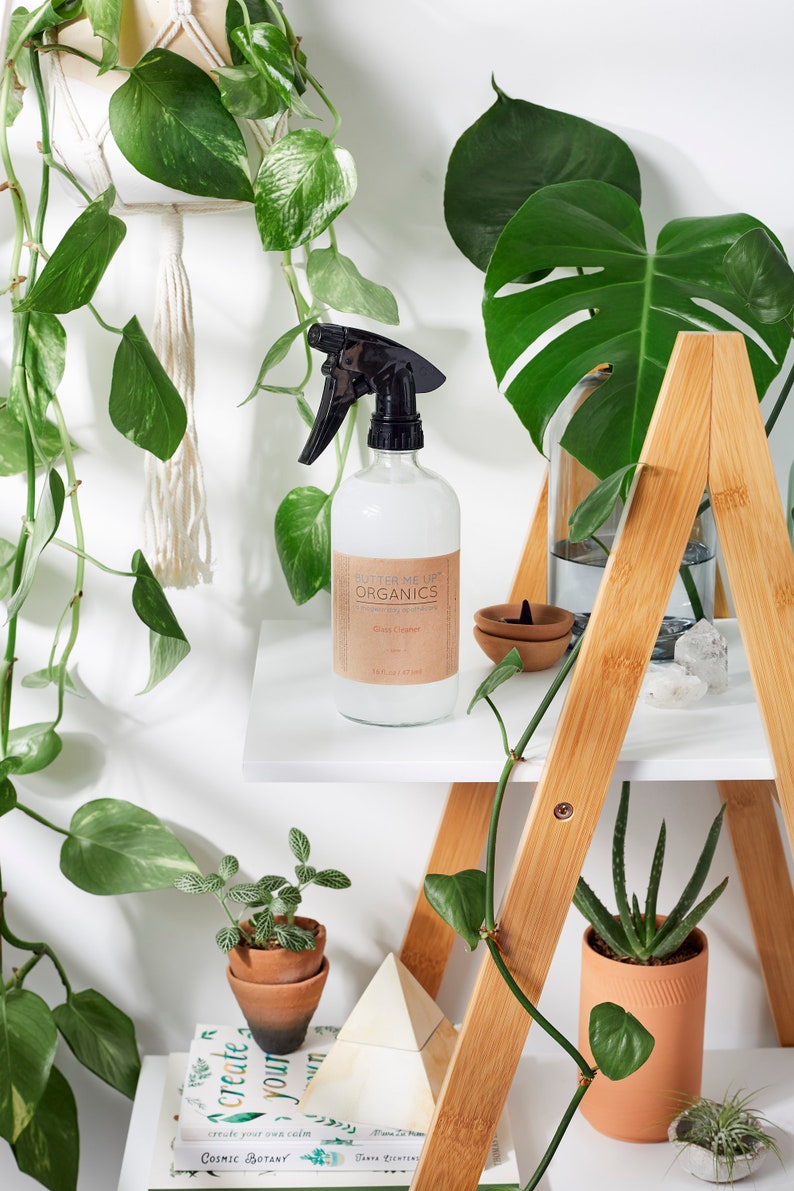 May include: A wooden shelf with two shelves, a clear glass bottle with a black spray nozzle, and a brown label that reads "WATER ME UP ORGANICS Glass Cleaner 16 fl oz (473 ml)". There are plants on the shelves, including a potted succulent and a potted plant with green leaves.