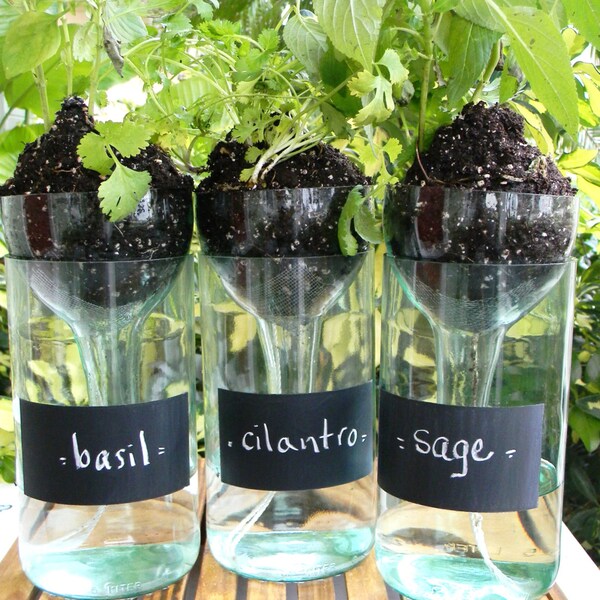 Wine Bottle Planters Self Watering with Chalkboard - Set of Three (3)