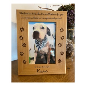 Pet Memorial, Pet Loss, Pet Loss Gift, Dog Loss, Memorial Frame, Pet Memorial Frame, Pet Sympathy Gift, Cat Loss, Cat Memorial
