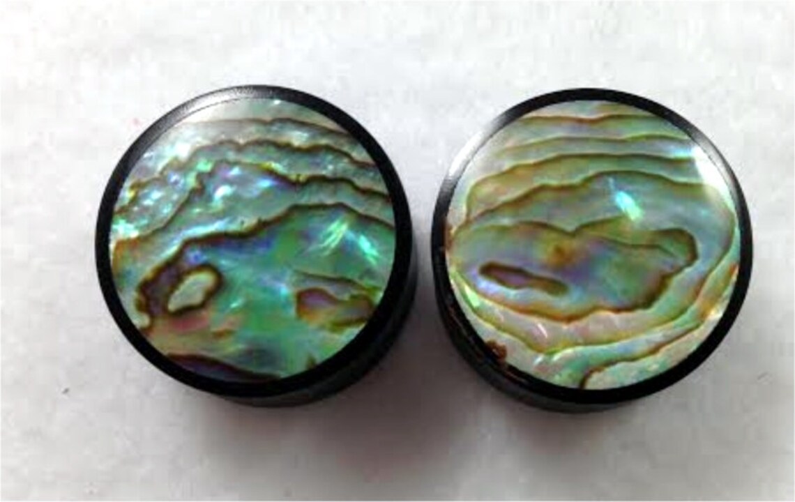 Pair of Black Horn and Paua Shell Organic Solid Plugs - Etsy