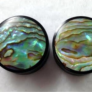 Pair of Black Horn and Paua Shell Organic Solid Plugs image 2