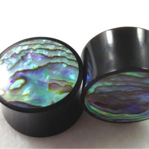 Pair of Black Horn and Paua Shell Organic Solid Plugs image 1