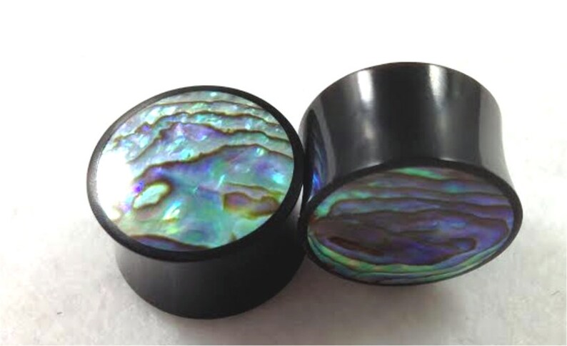 Pair of Black Horn and Paua Shell Organic Solid Plugs image 1