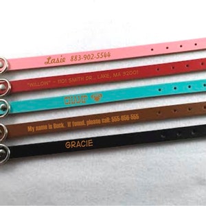 Personalized Leather Dog Collar and Cat Collar