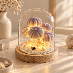 Könnte beinhalten: Eine Glaskuppel auf einem runden hellen Holzsockel mit fünf violetten Seeigelgehäusen auf weißem Sand. Das Arrangement wird durch warmes Lichterkettenlicht beleuchtet und enthält kleine Perlenakzente sowie eine braun gestreifte Muschel.