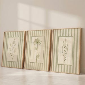 Sage Green Stripe Botanical Set of 3, Gallery Wall Art, Nature Print Trio