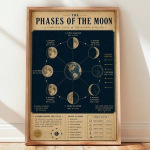 Puede incluir: Un póster de pared rectangular titulado The Phases of the Moon, que presenta una ilustración central de la Tierra rodeada por ocho fases lunares en un diagrama circular. El fondo azul oscuro contrasta con el texto y los gráficos dorados.