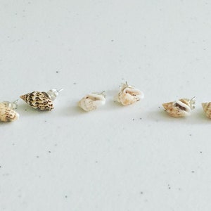 May include: A set of six seashell earrings. The earrings are made of natural seashells with silver posts. The seashells are a variety of shapes and sizes.