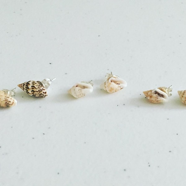 Beach Boho Tiny Seashell Stud Earrings