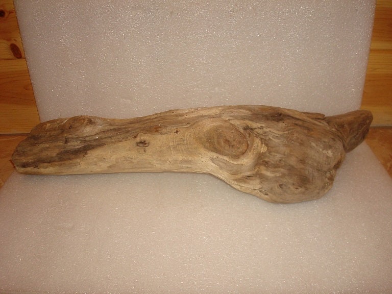 Wood for Freshwater Aquarium Etsy
